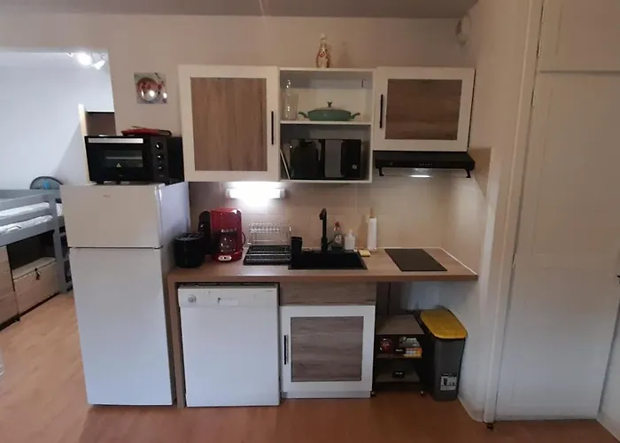 De L'isard Bleu, Dans De Tourisme 3 Etoiles Λούρδη